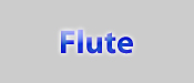Flute Lessons