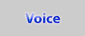 Voice Lessons